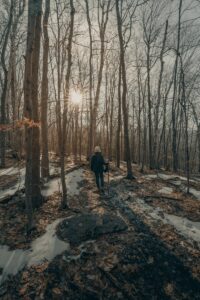 person in black jacket standing on snow covered ground in between bare trees during daytime